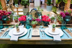 A_pleathora_of_design_inspiration_courtesy_of_Cresta_mall_tenants_large