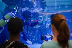 fish_feed_4_large